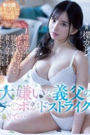 [PPPE-013] Karen Yuzuriha ลูกเลี้ยงน่ารักนมใหญ่แตกใน
