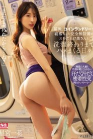 [SSIS-600] Hoshimiya Ichika ใช้ร้านซักผ้าเป็นม่านรูด